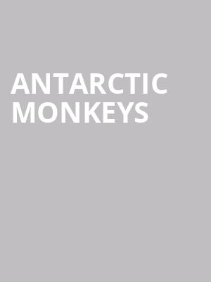Antarctic Monkeys at O2 Academy Islington